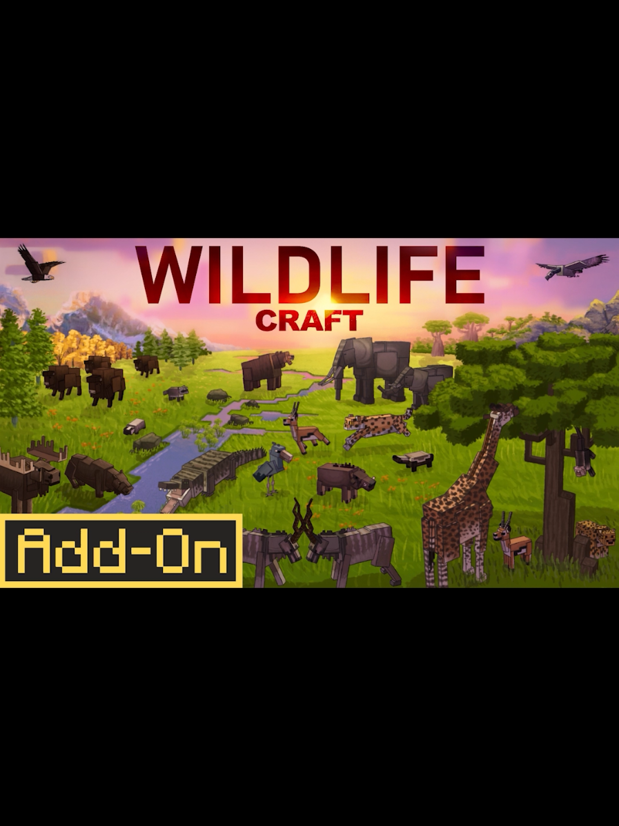 @CompyCraft
