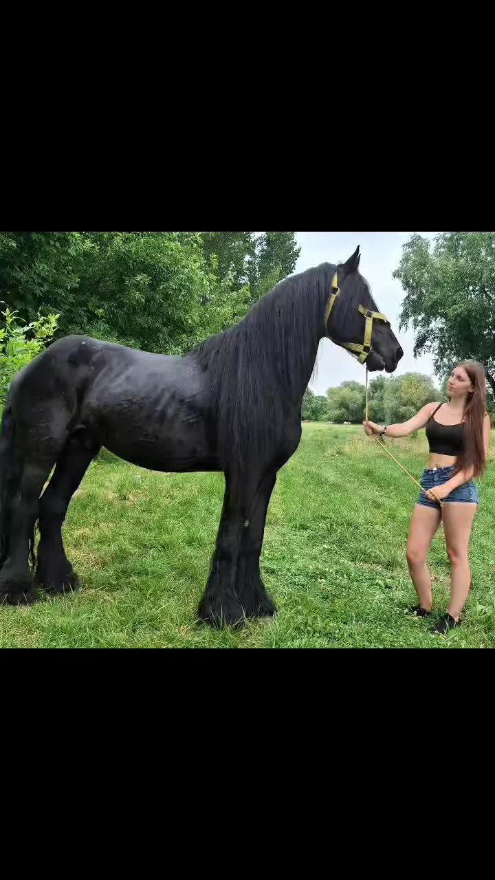 @𝓐𝓷𝓷𝓪👑