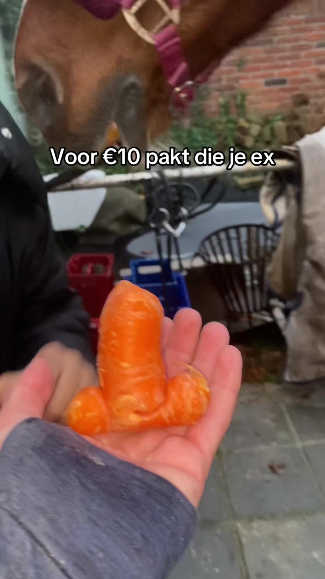 @🇳🇱Madelief🇳🇱