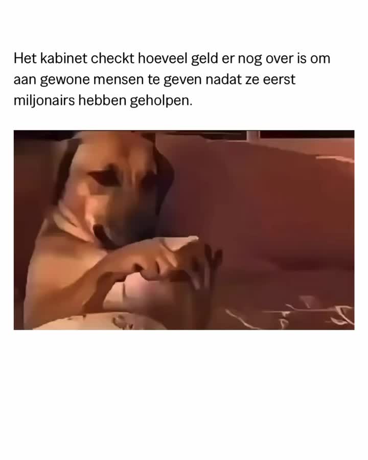 @Progressief Nederland