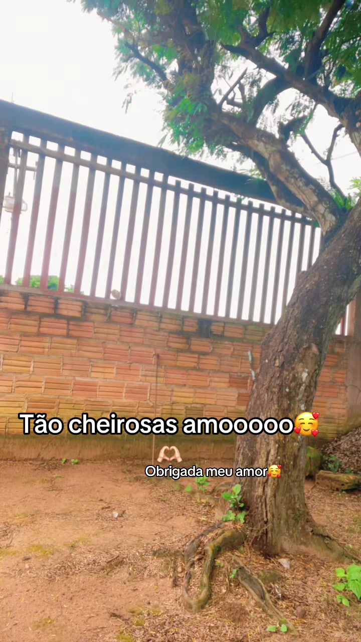 @Freitas🦋