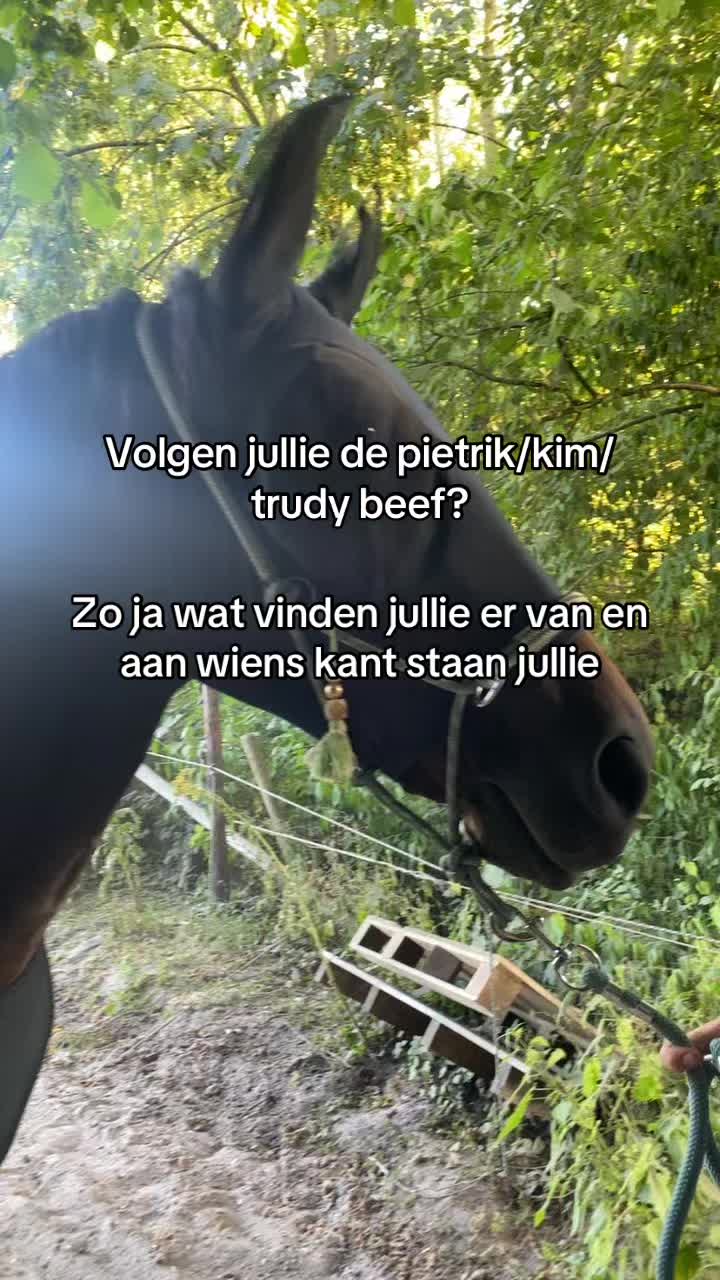 @🇳🇱Madelief🇳🇱