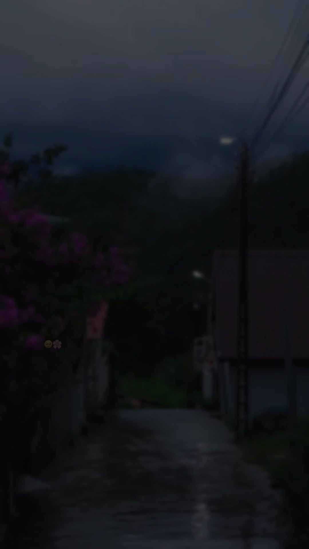 @𓆩♡𓆪
