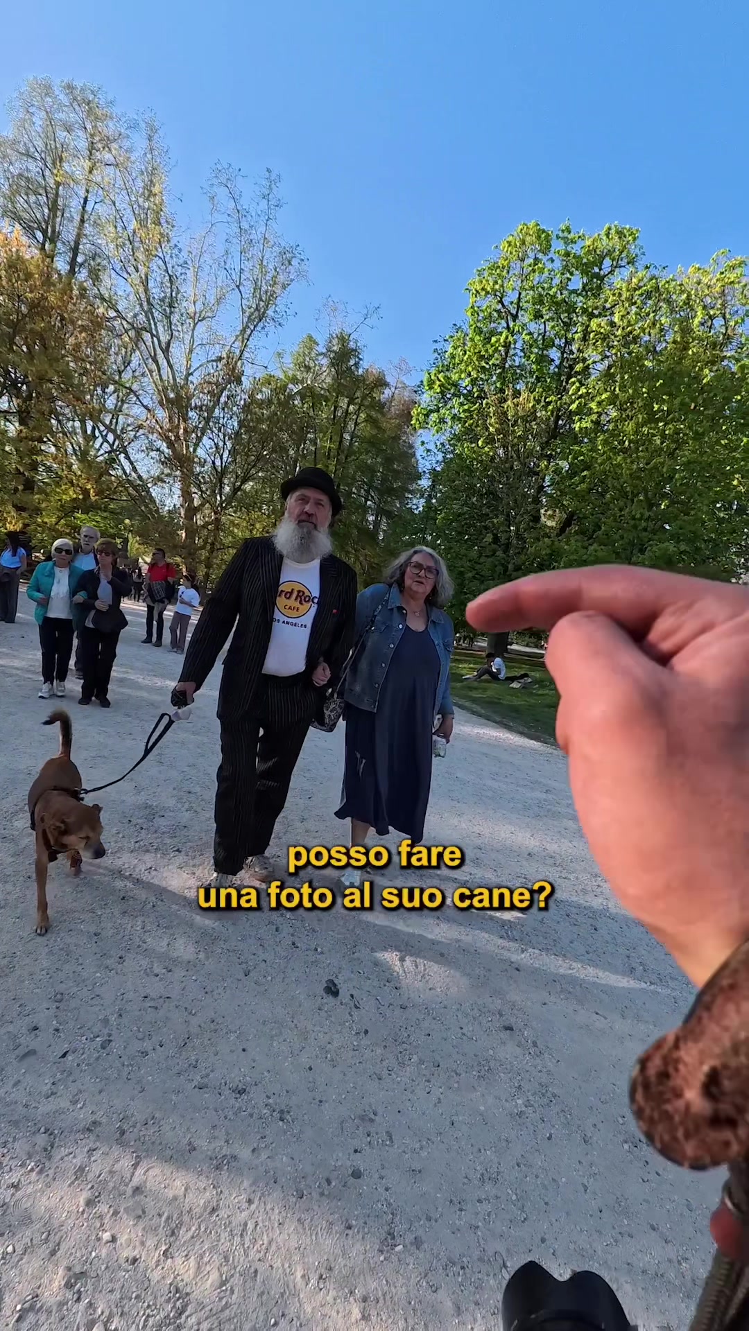 @Doggodaiily