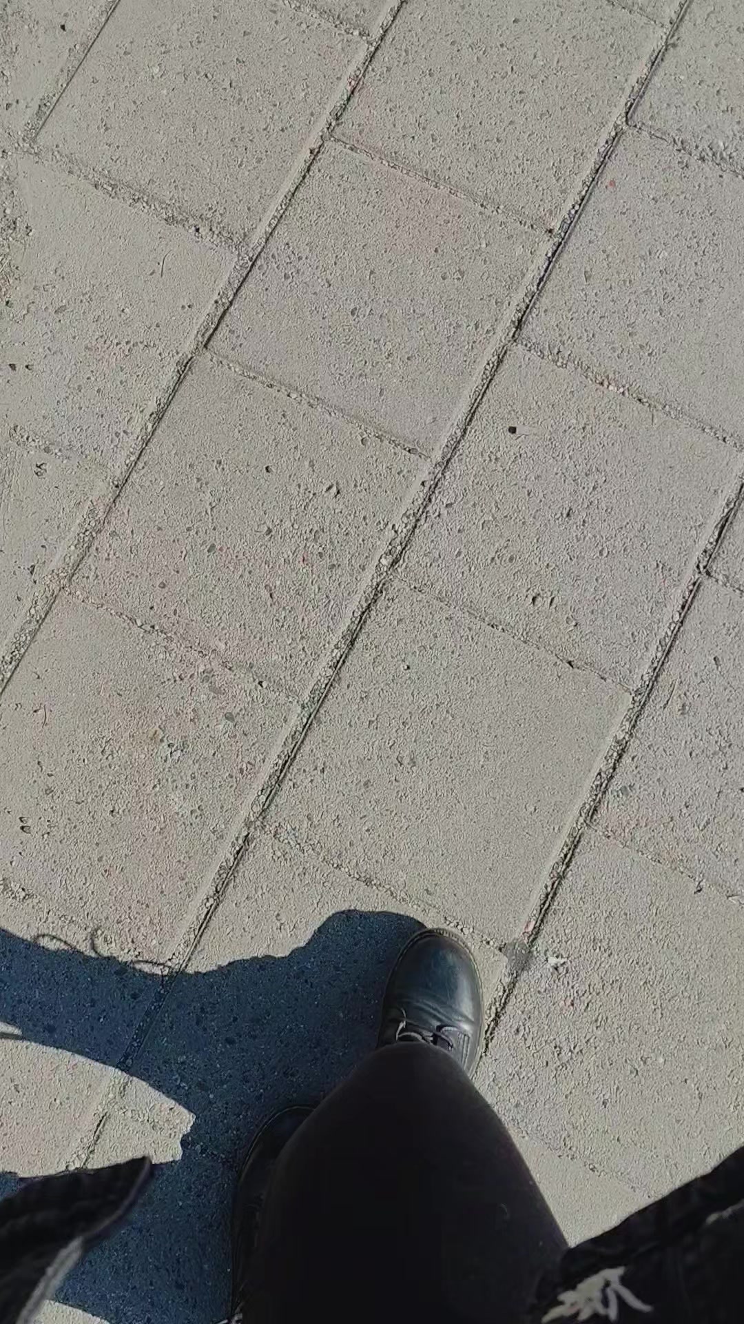 @Janinamoii
