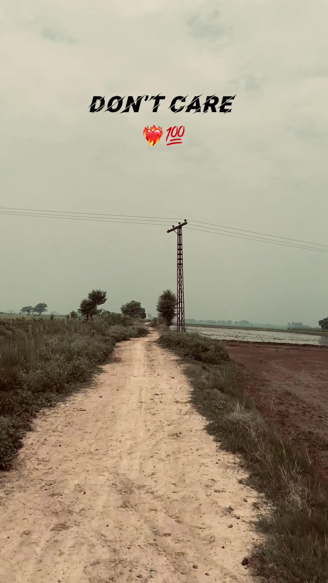 @🍁پنجاب_تے_پنجابی🍁