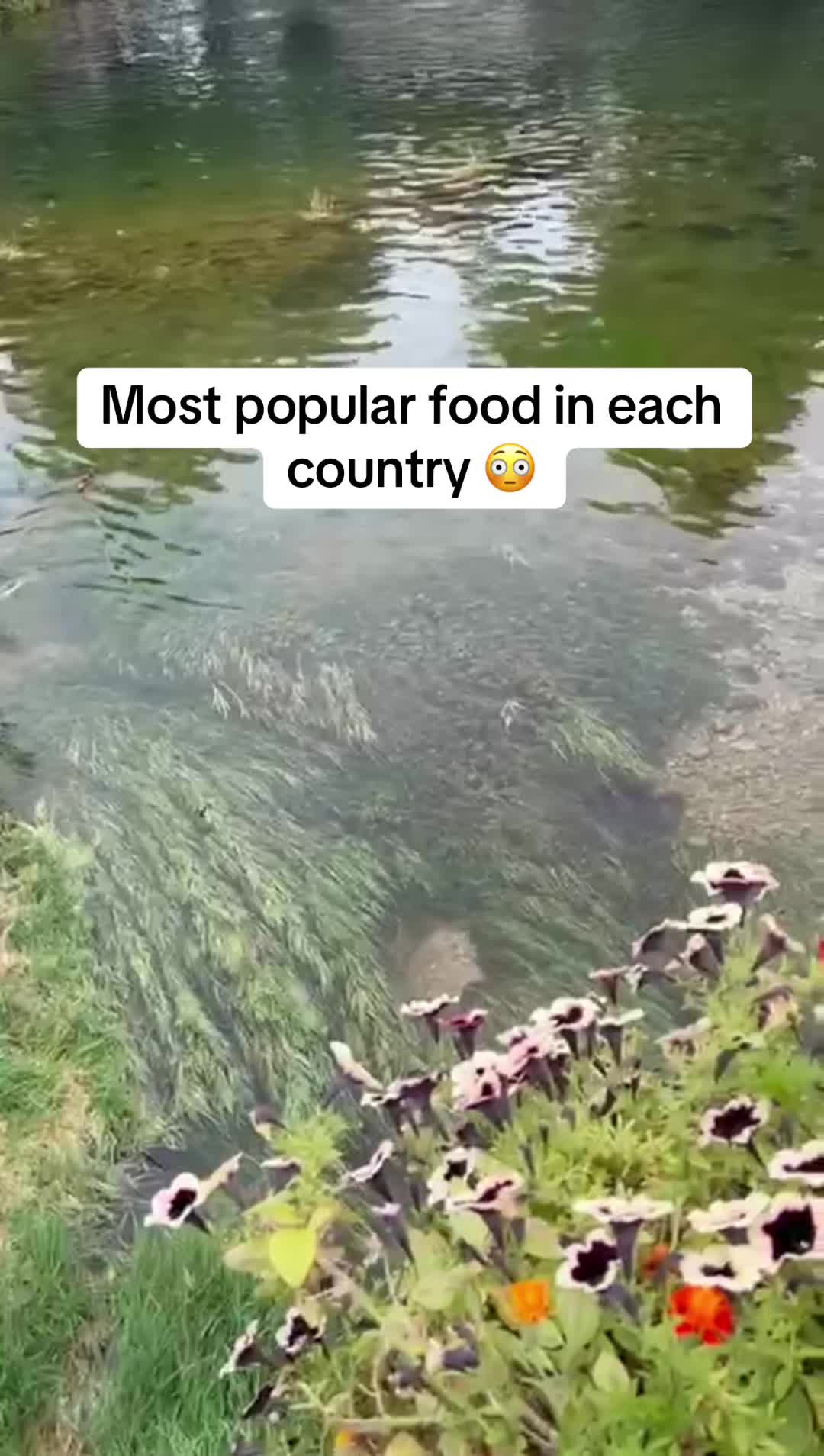 @Efacts