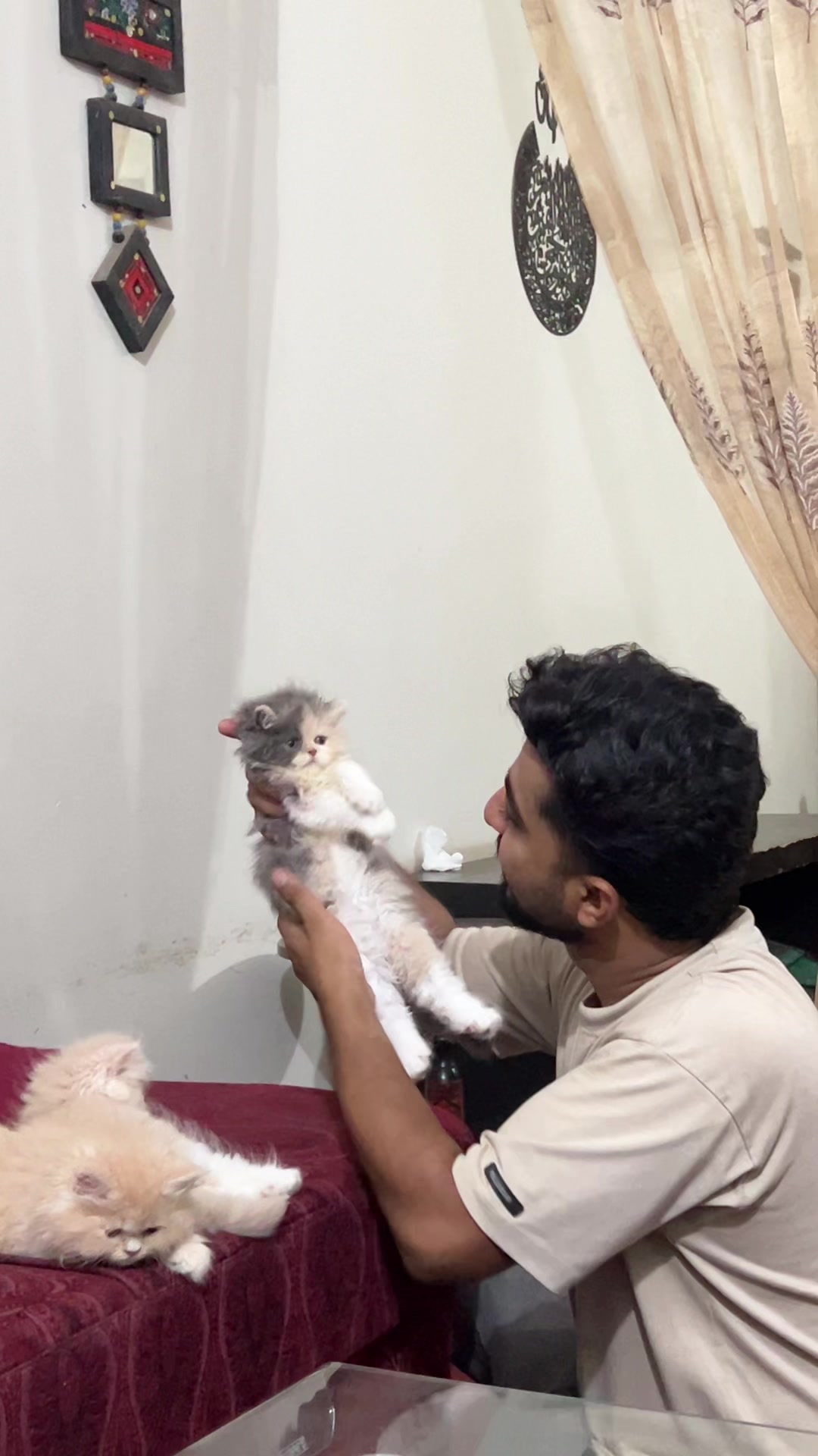 @karachikittens