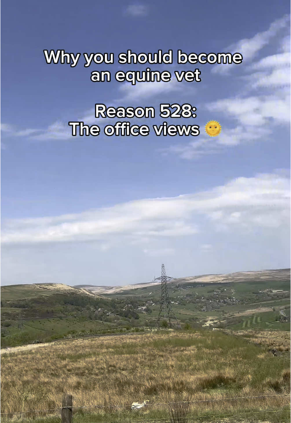 @Em the Equine Vet