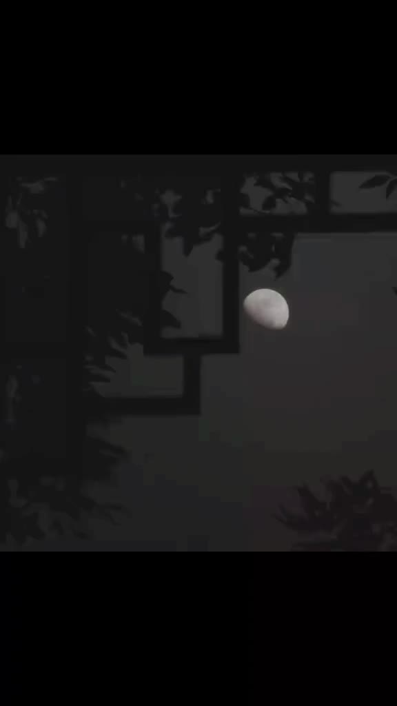 @💫𝐒𝐲𝐞𝐝 𝐊𝐚𝐌𝐢🫀