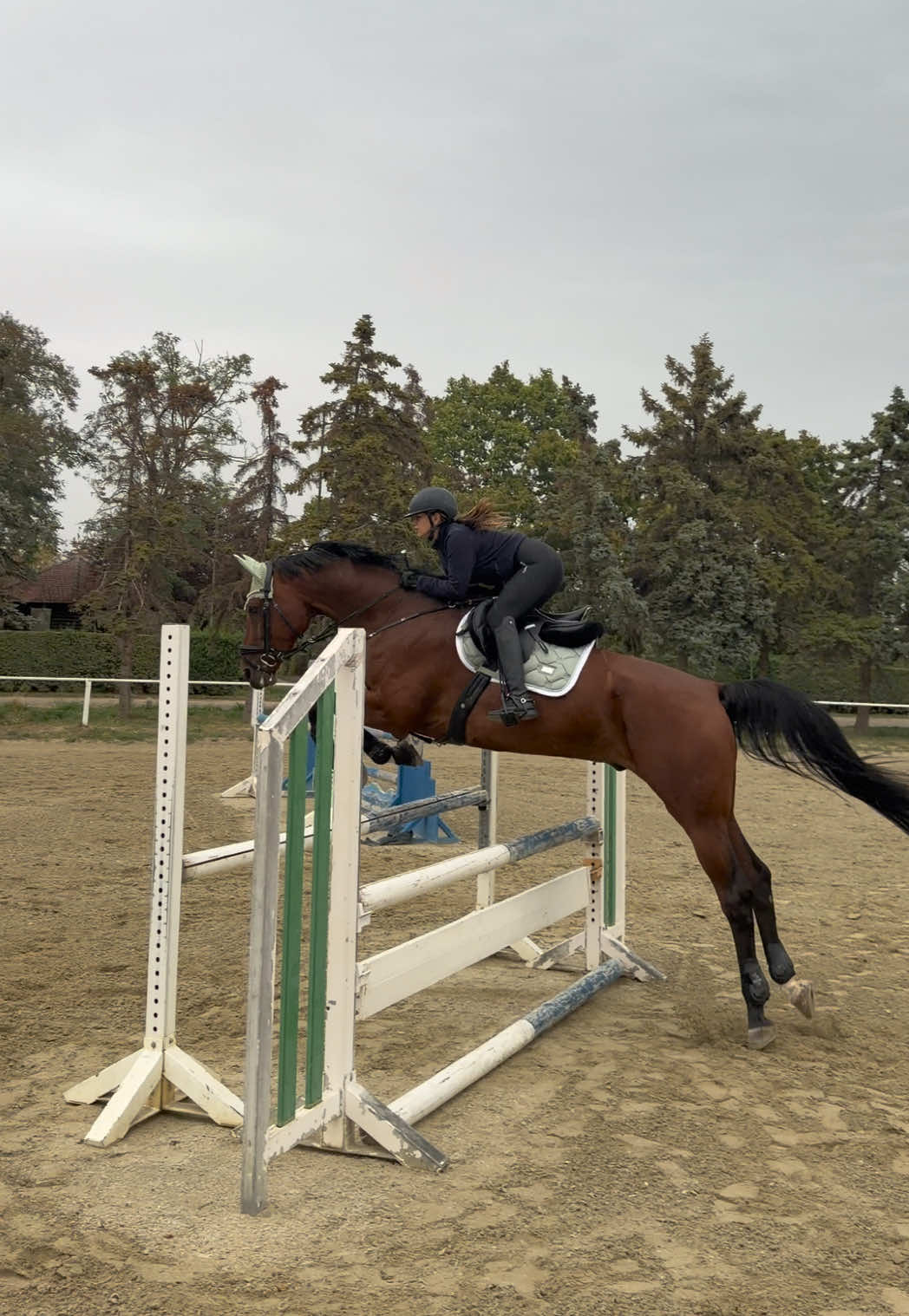 @sophietschi_x_equestrian