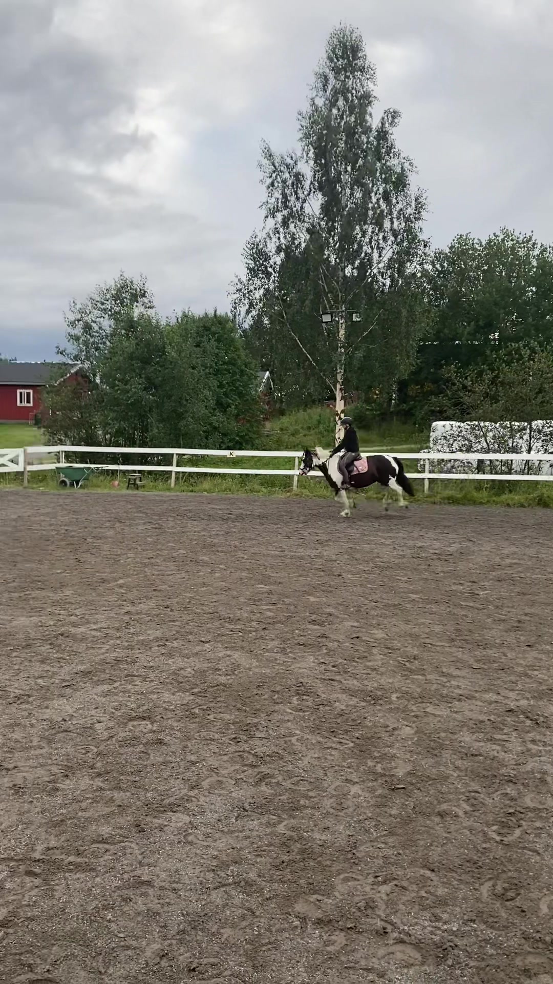 @kerstin🐴