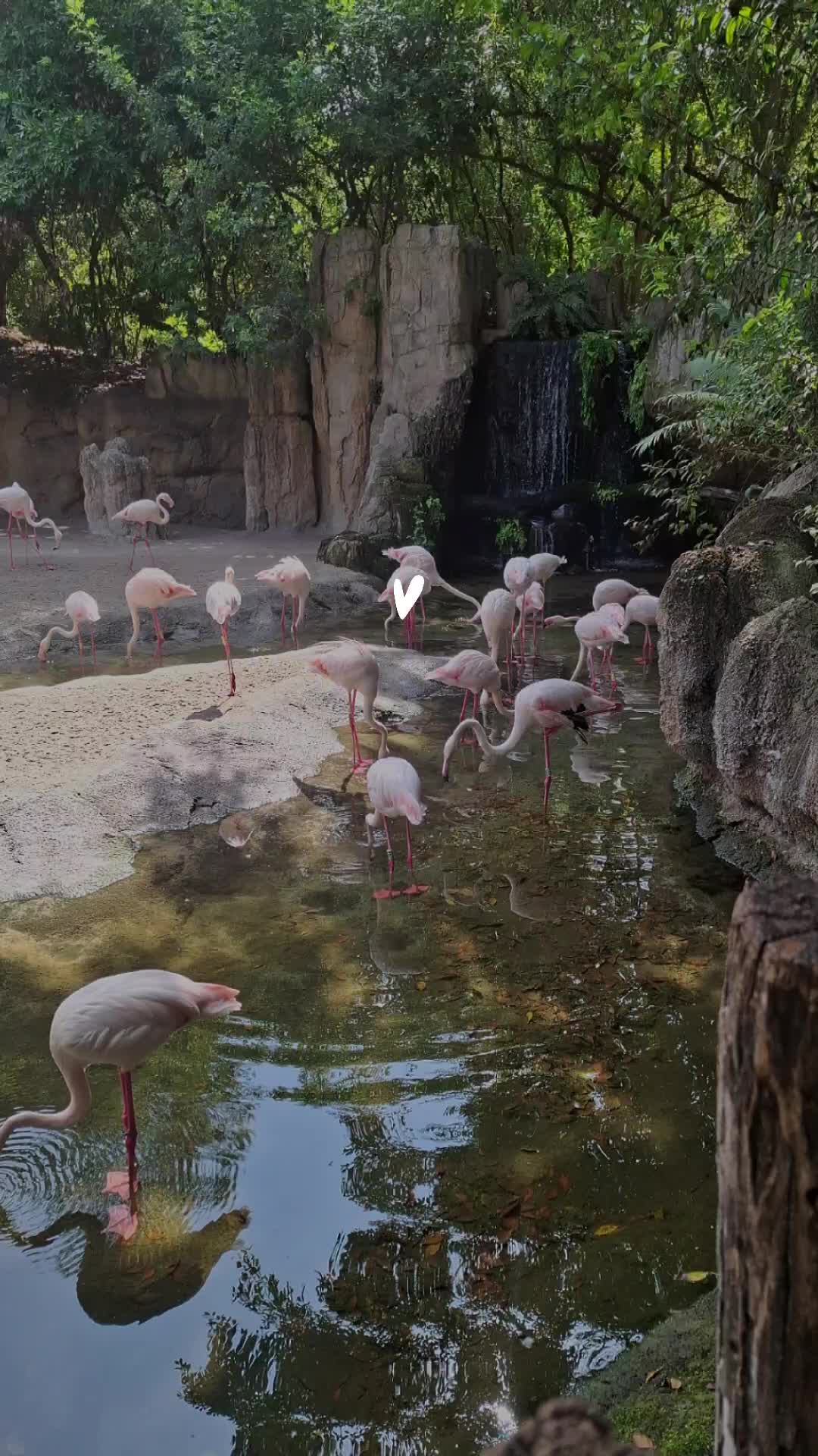 @la jefa