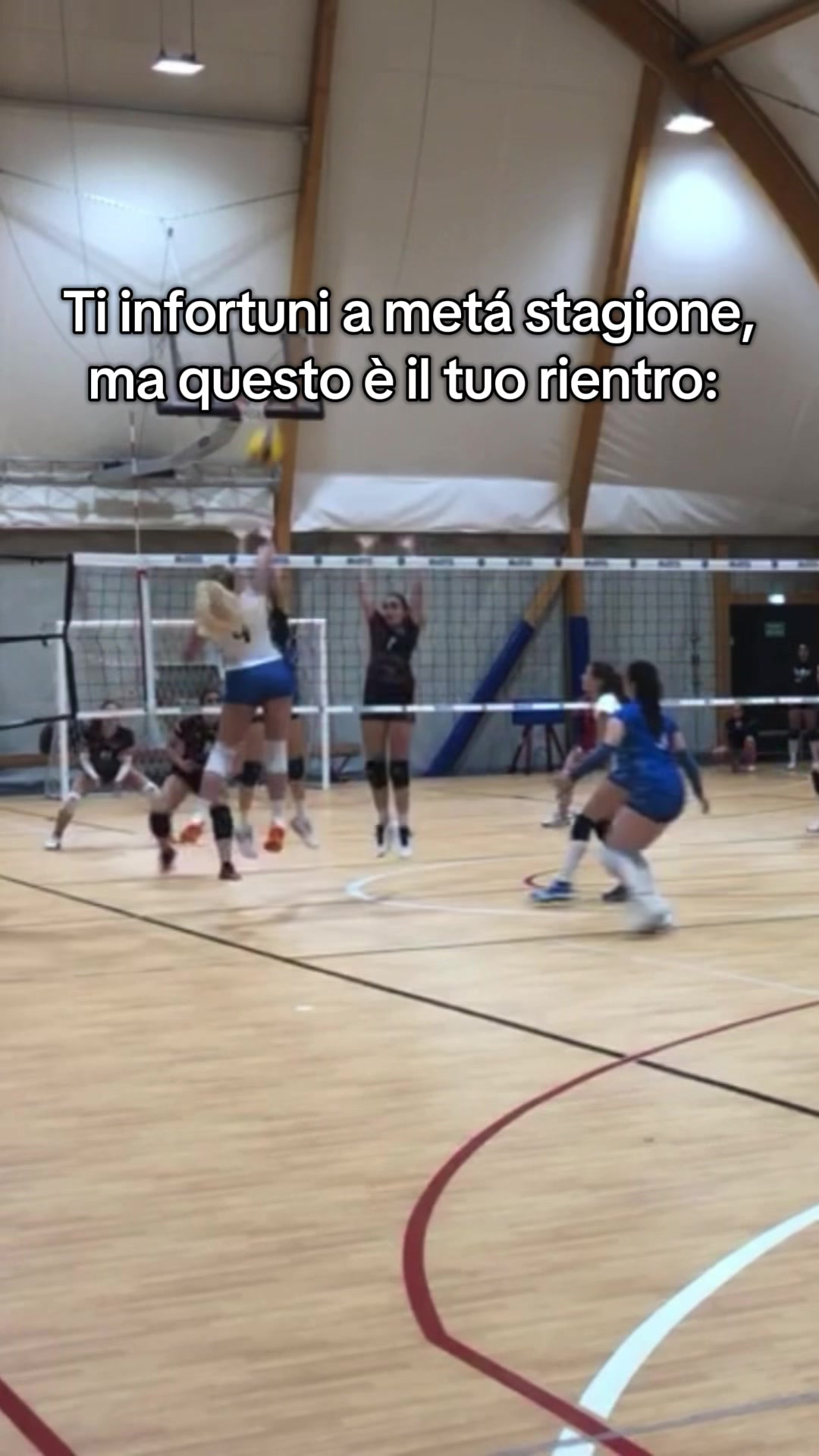 @Majestic Volley