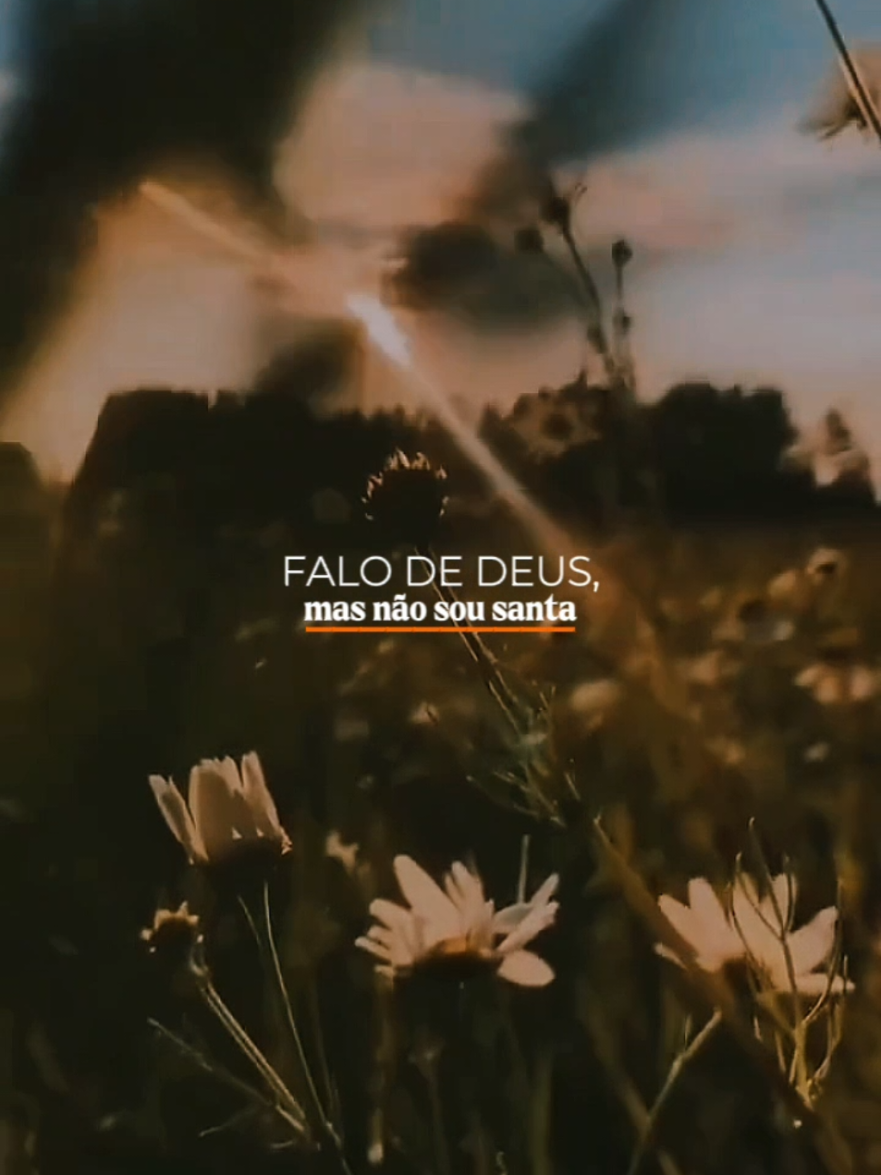 @Paz em Foco