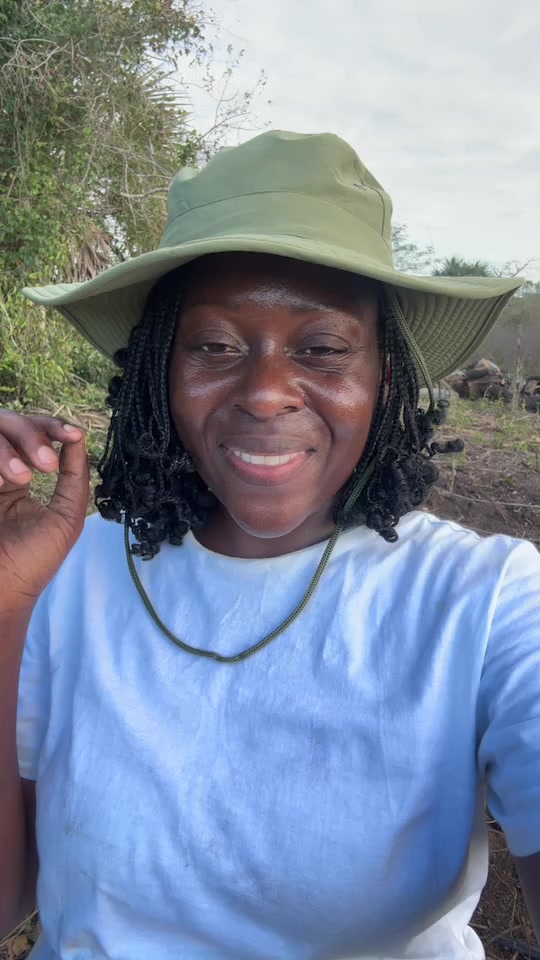 @Felicidade Gotine Firmino