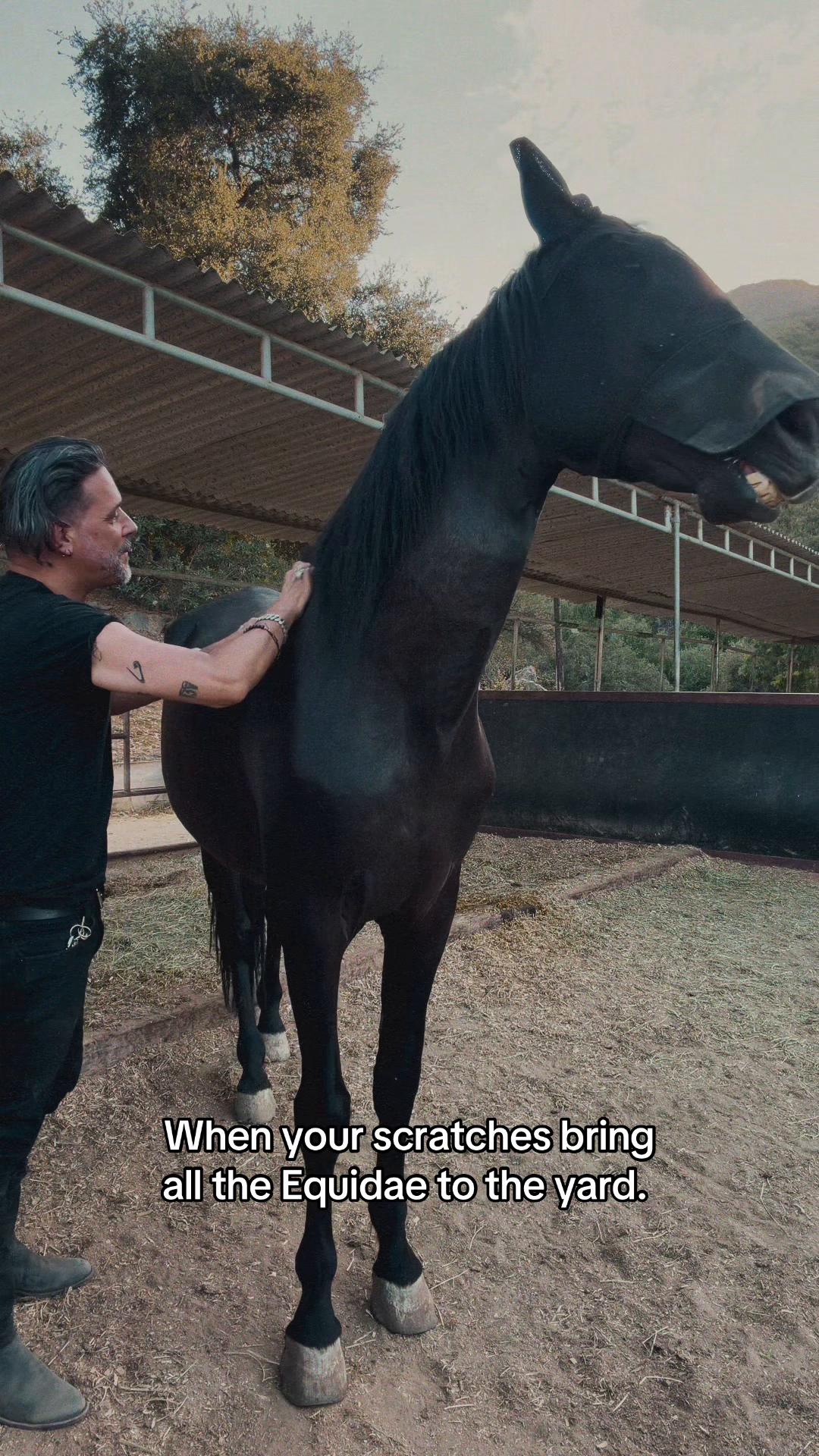 @George Stroumboulopoulos