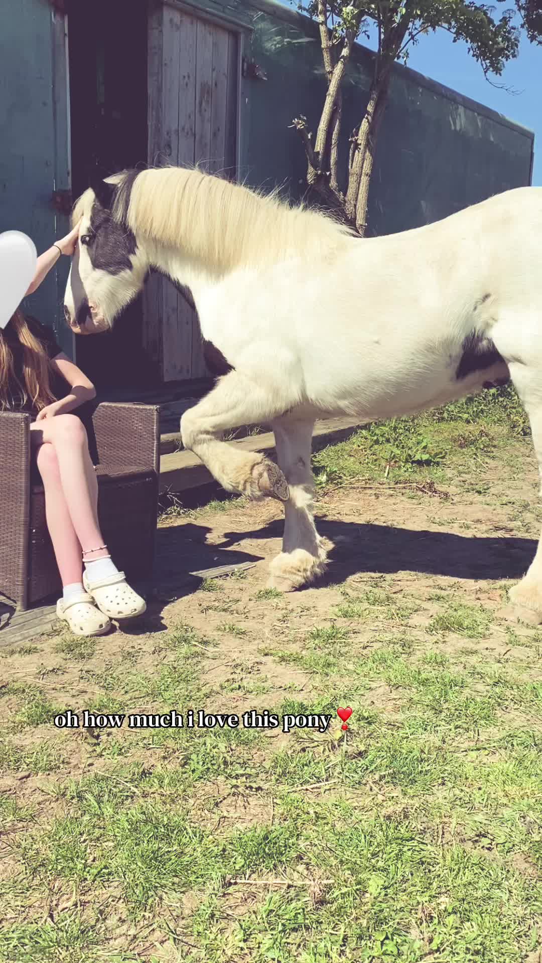 @𝐋𝐮𝐜𝐲🪽