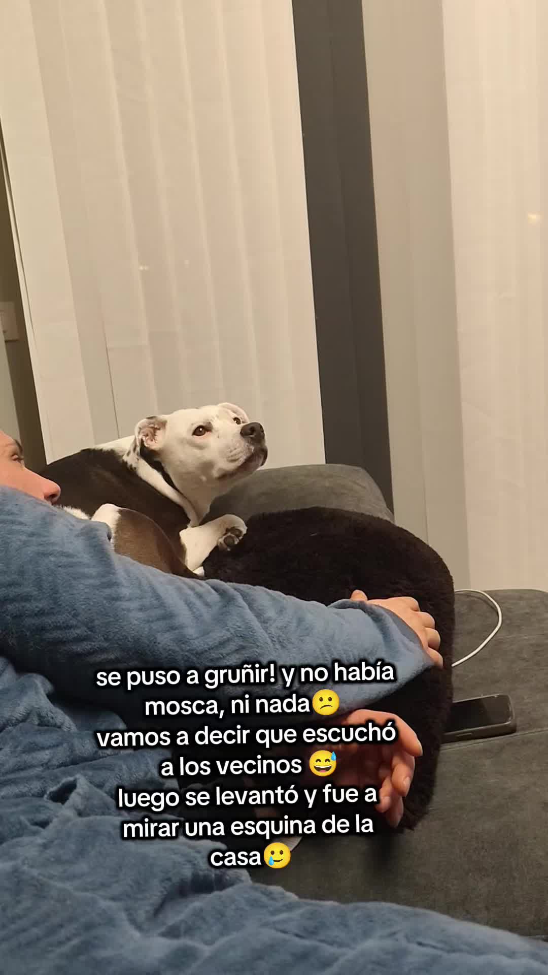 @Lola y eve