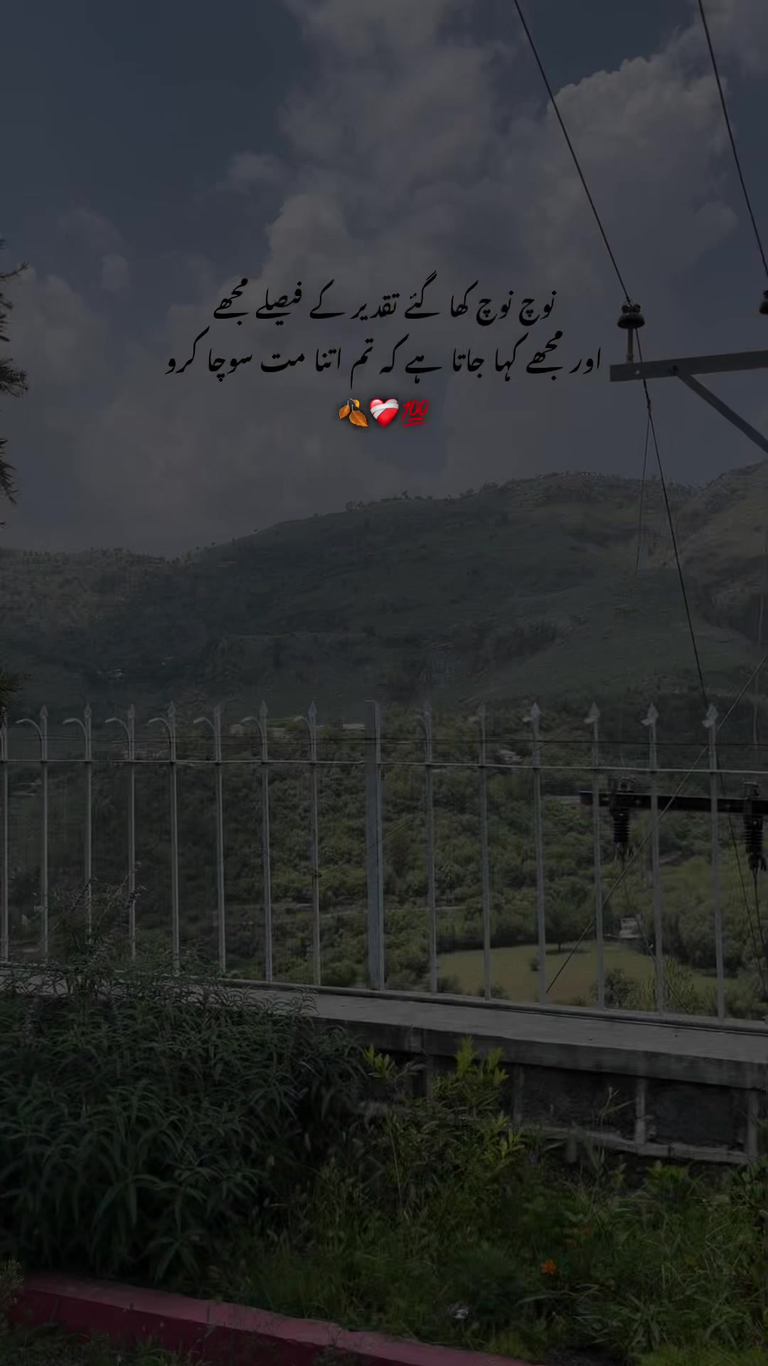 @بکھرے خواب🍂