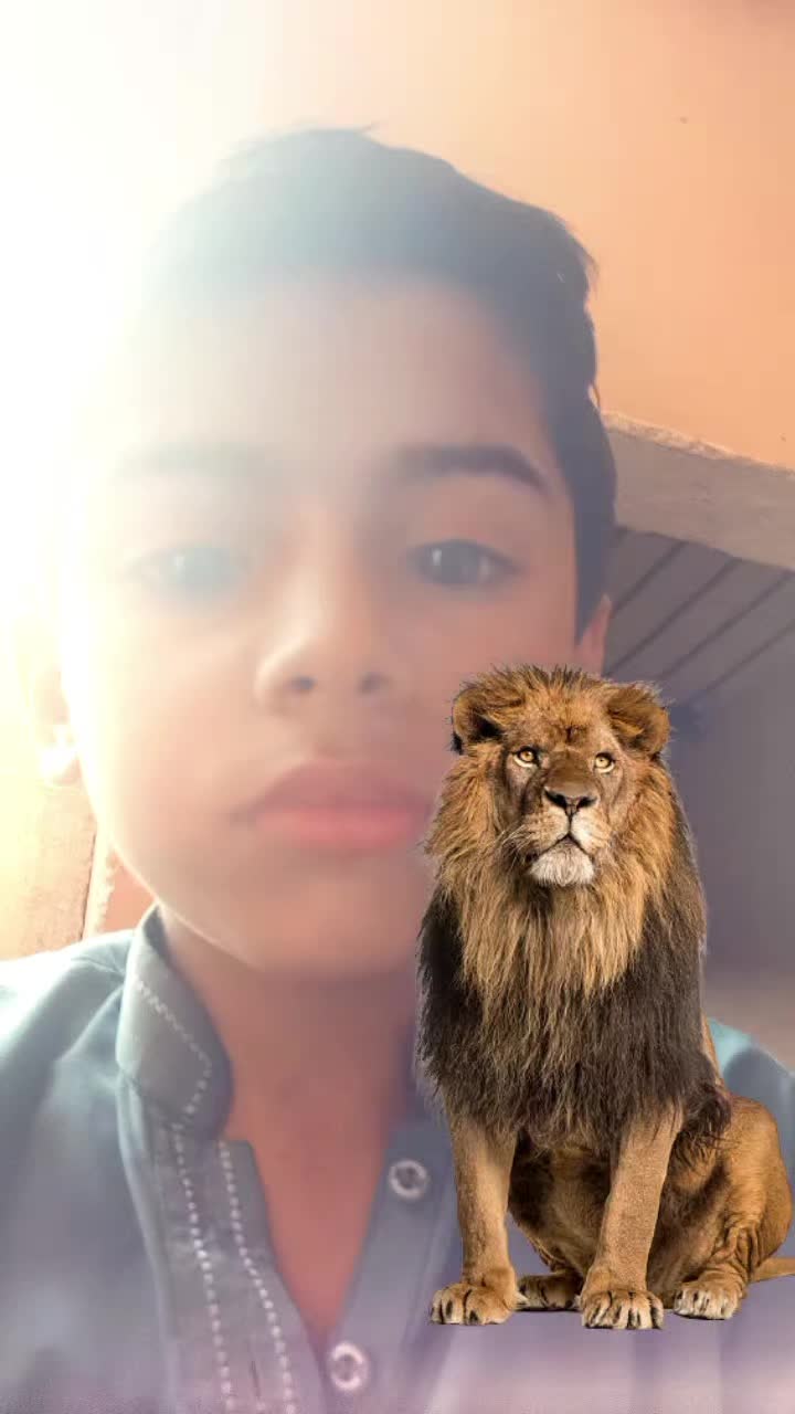 @Rana Ali