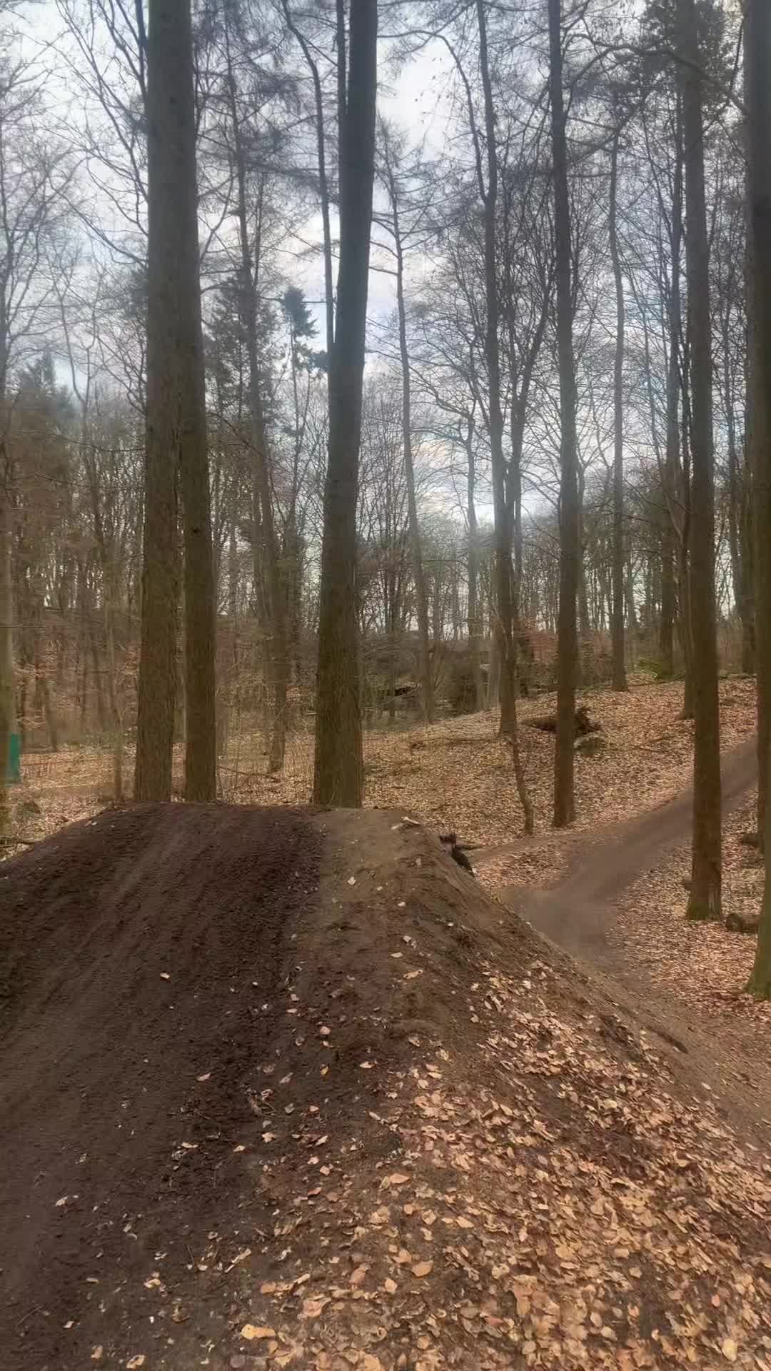 @Levi._.fr🦅🇩🇪