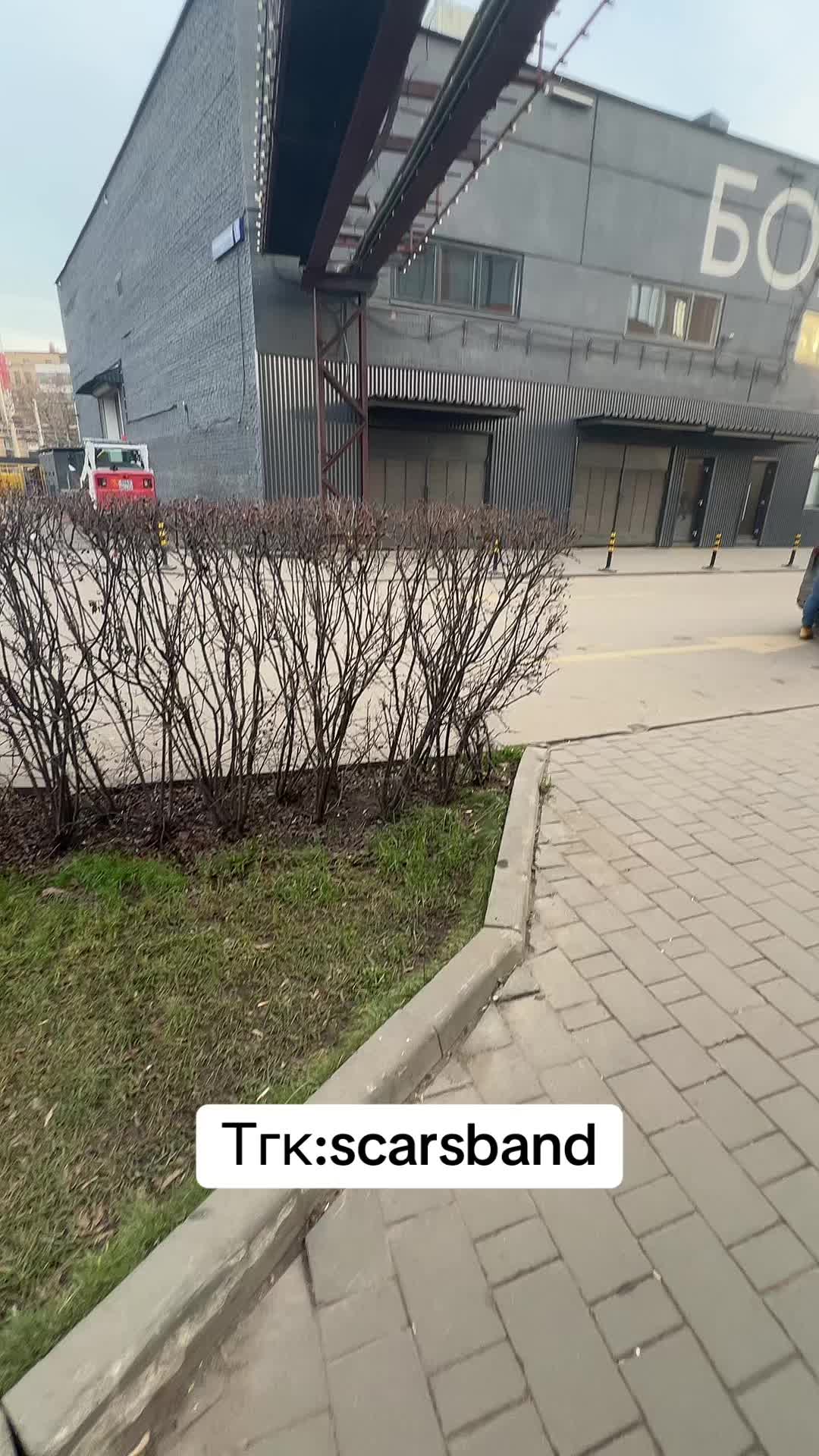 @ТГК:scarsband