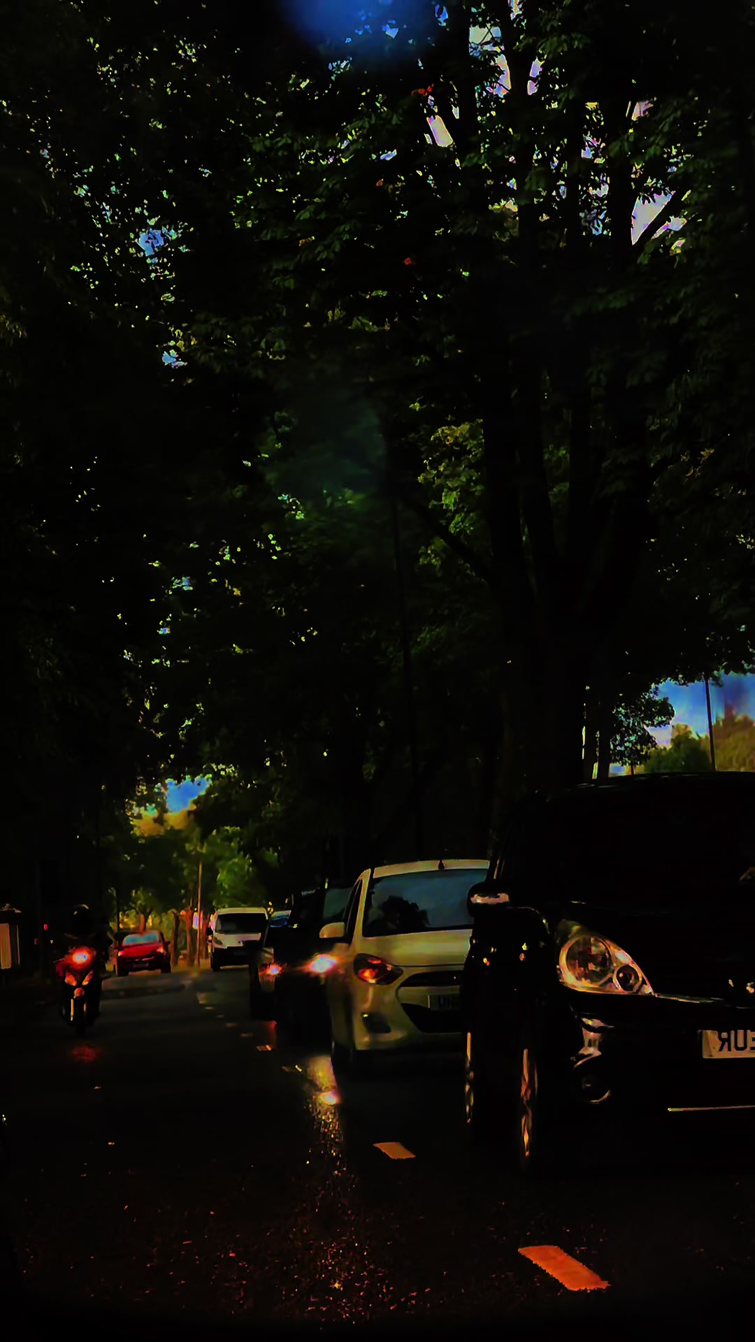 @𝑾𝑻 🚶&zwj;♂️