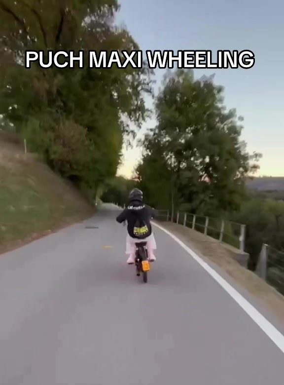 @Black_Puch_swiss