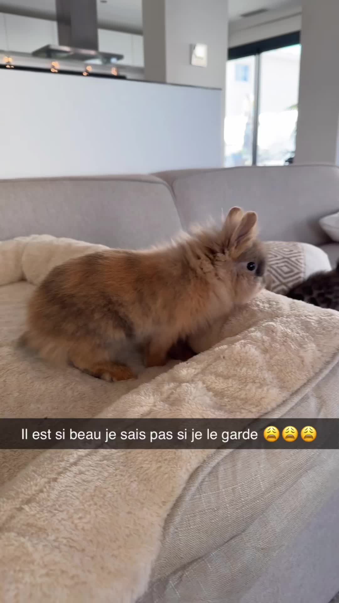 @voltaireleroi