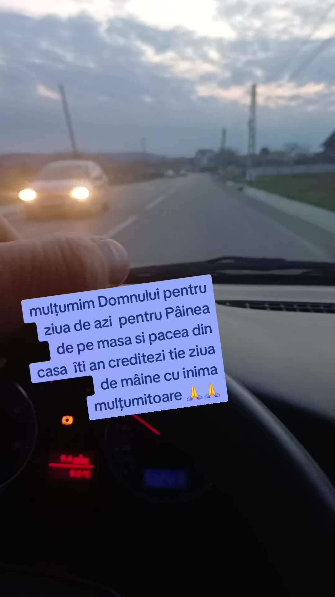 @Alina Iacob