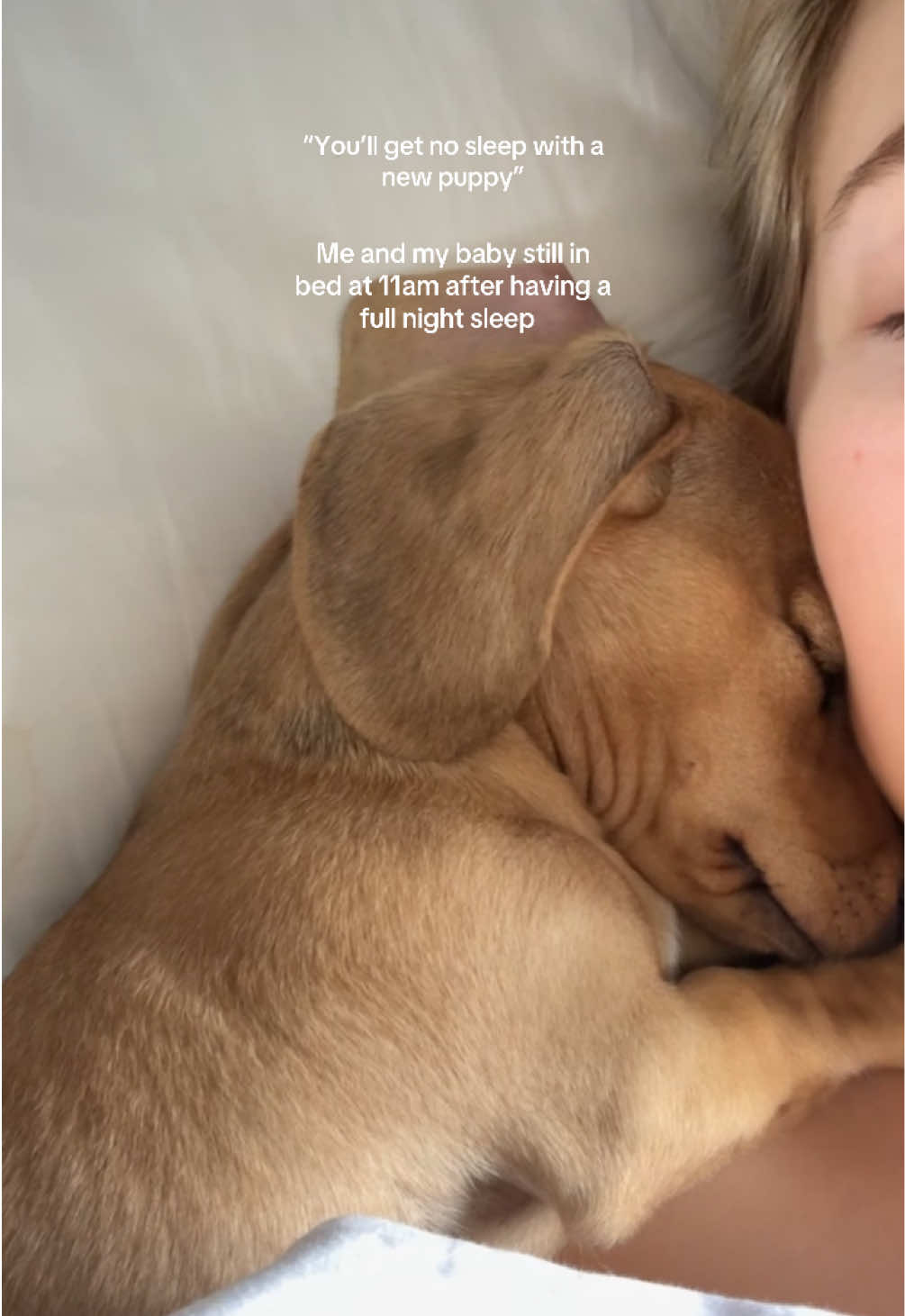 @Eva