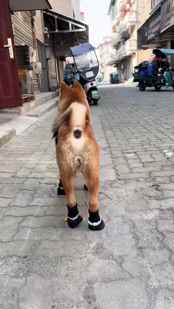 @Funny Cute