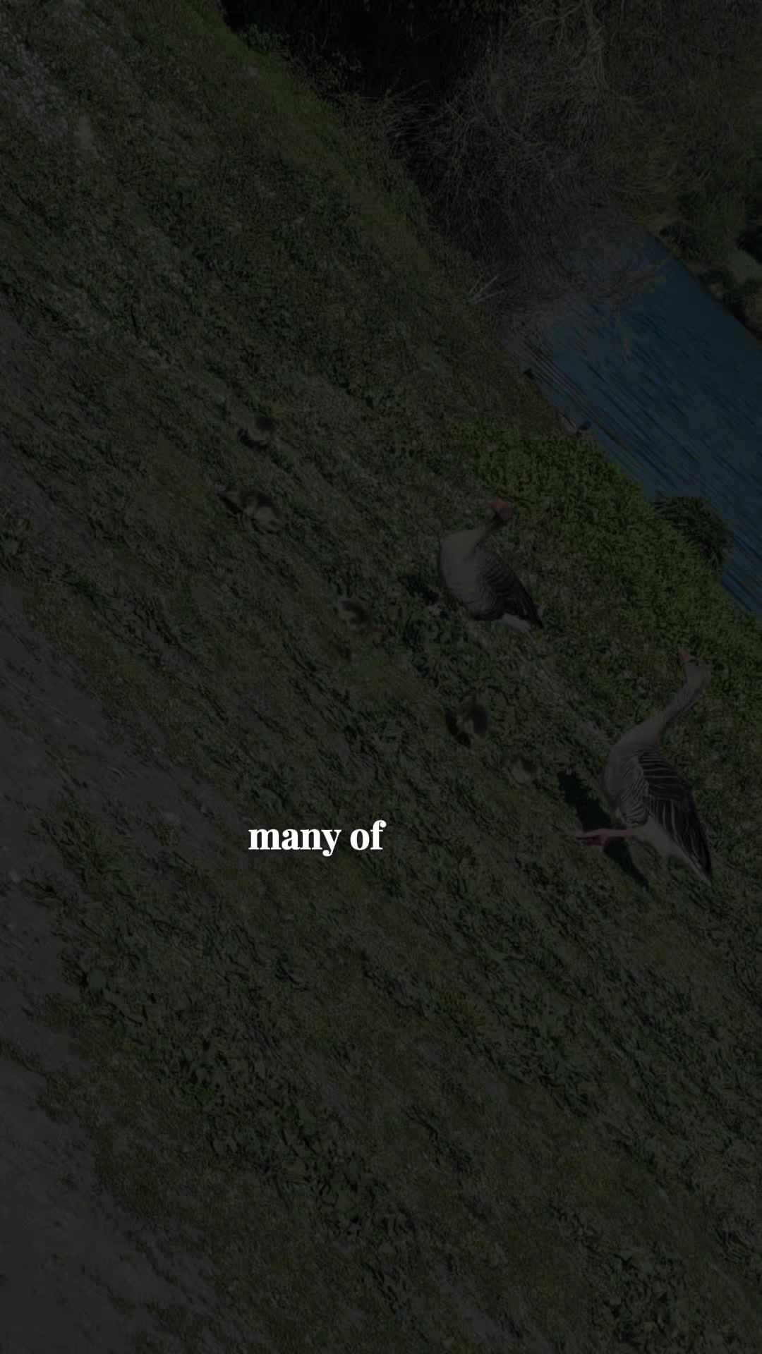 @☺️نقاء الروح