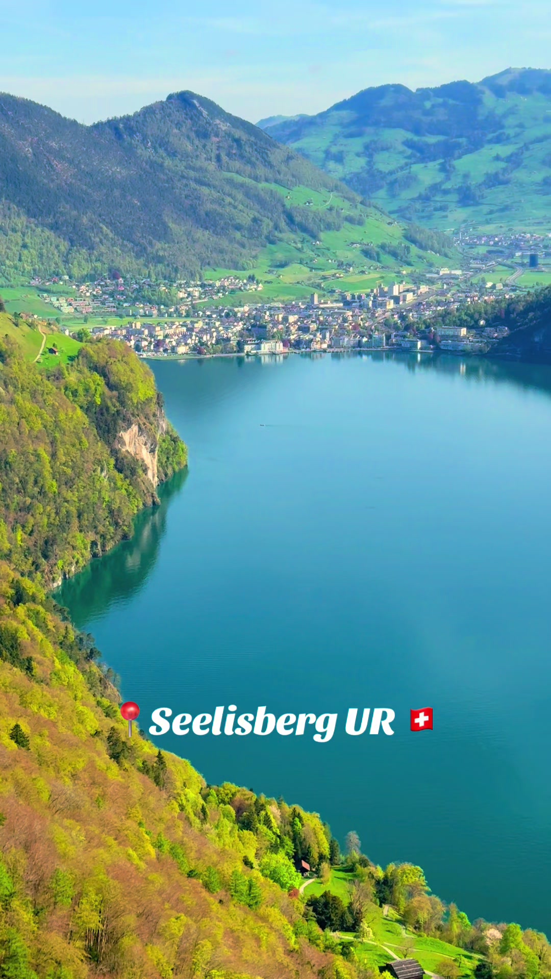 @swiss_alps