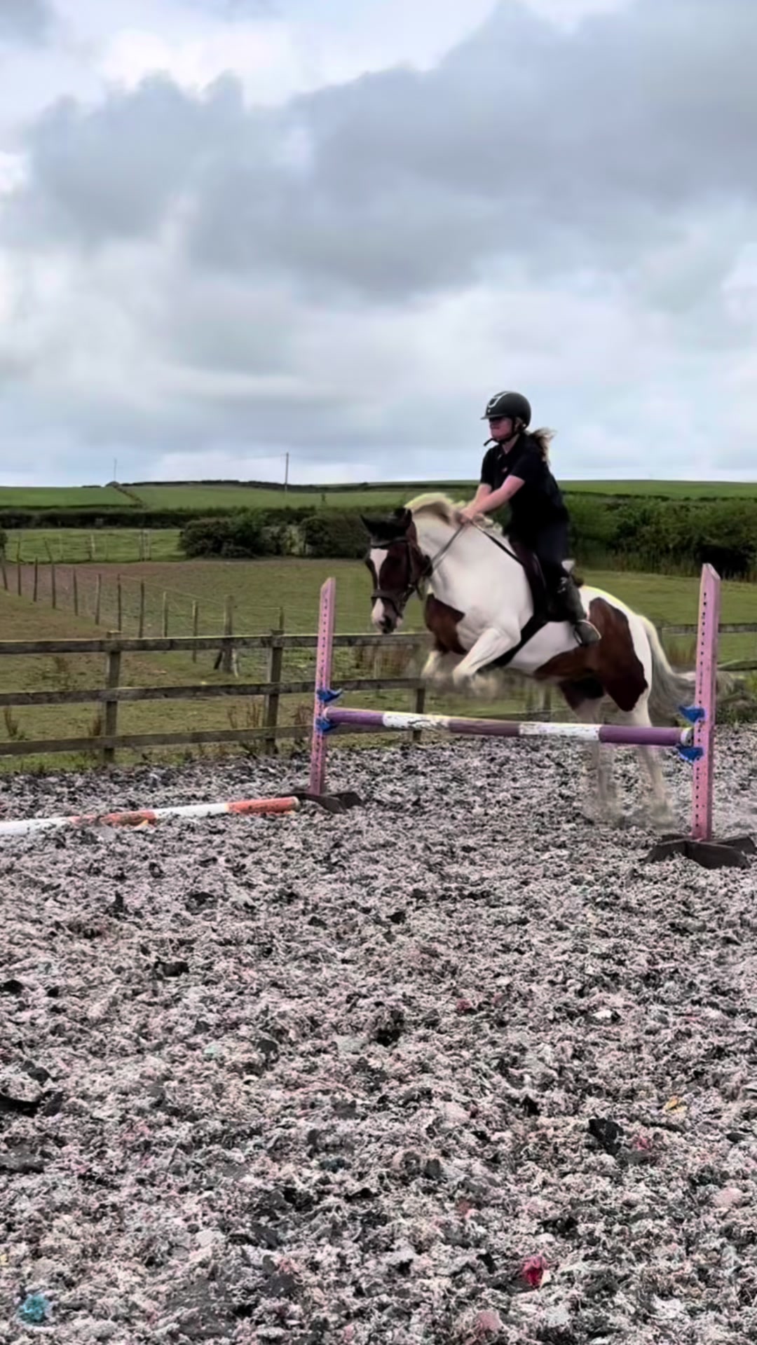 @Lilywiththecobs🐴
