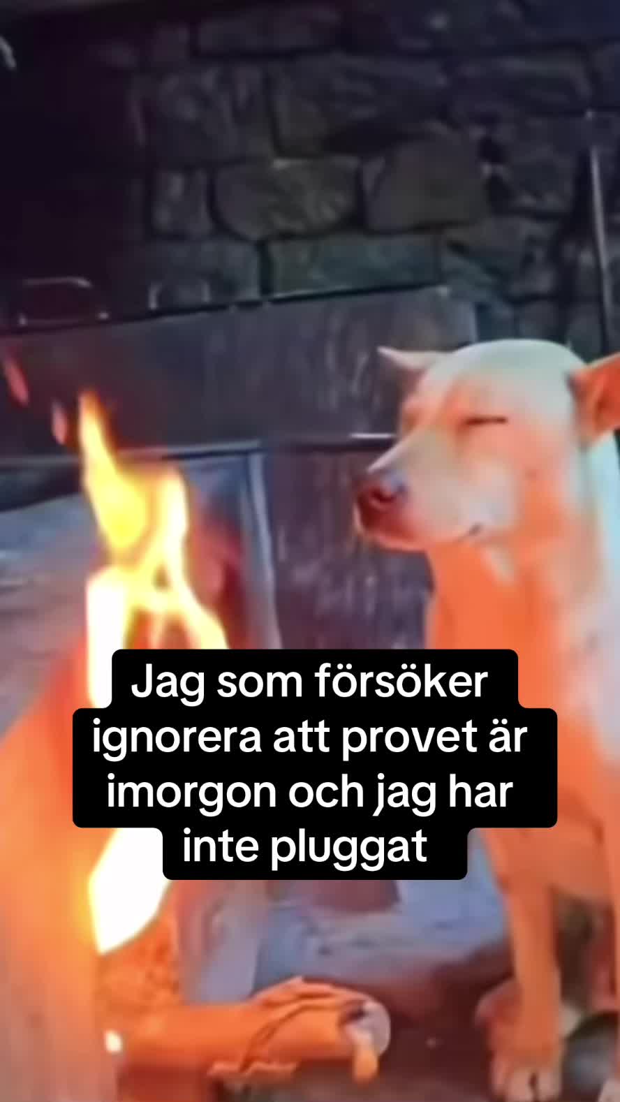 @tjejens tankar