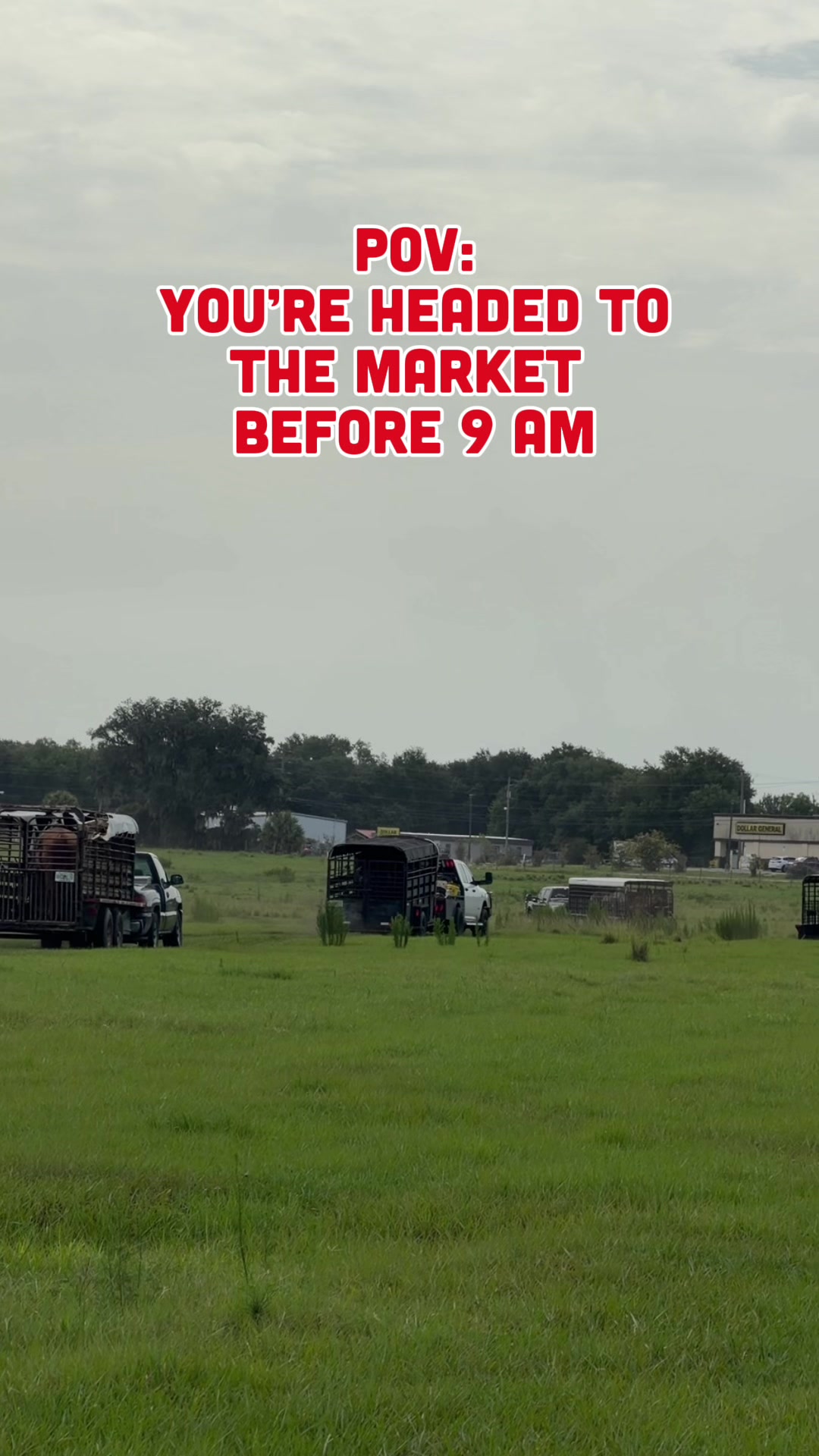 @Cattlemen&rsquo;s Livestock Market