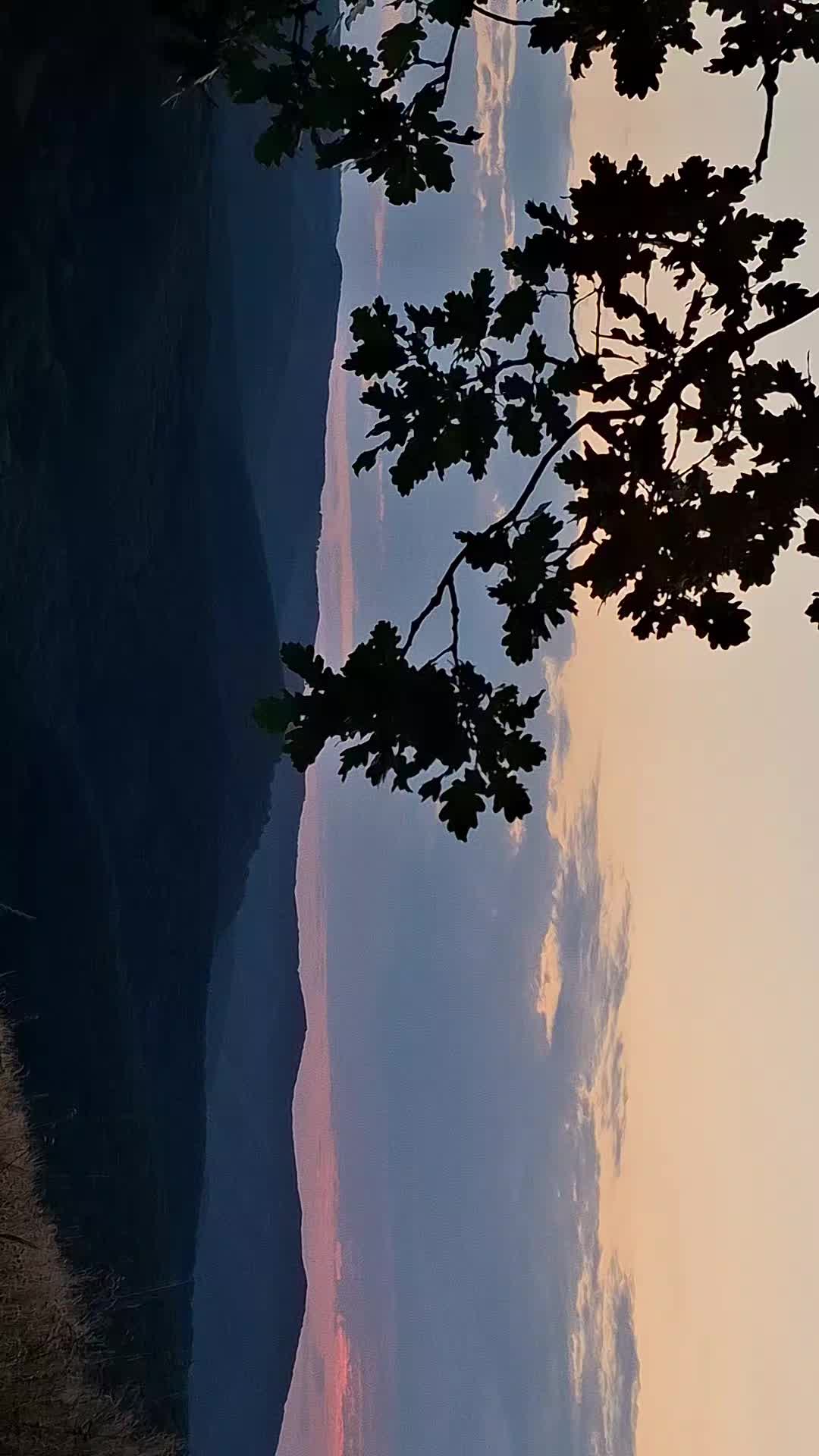 @George.007