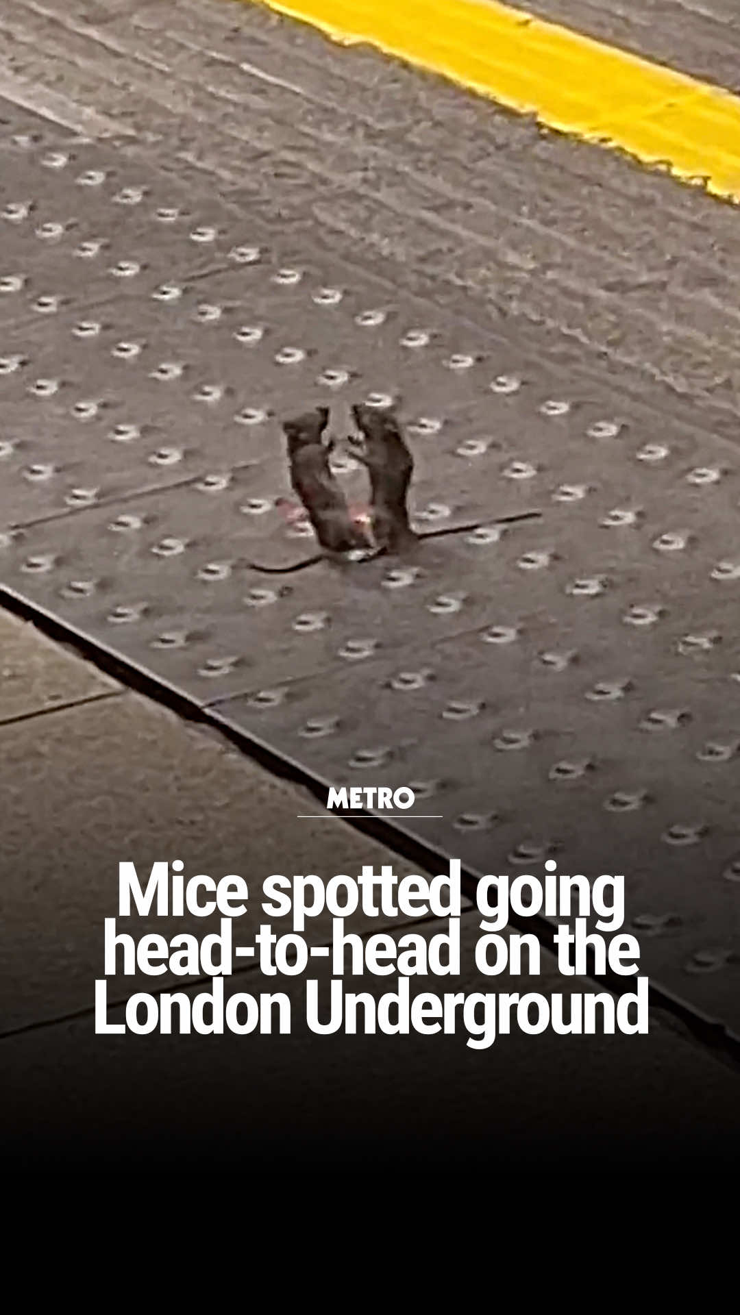 @Metro