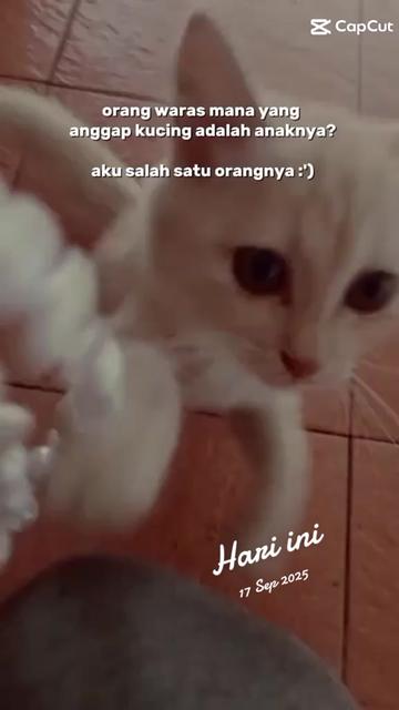 @Defyna Ali