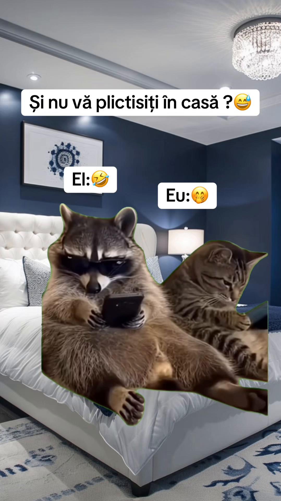 @Ionut17