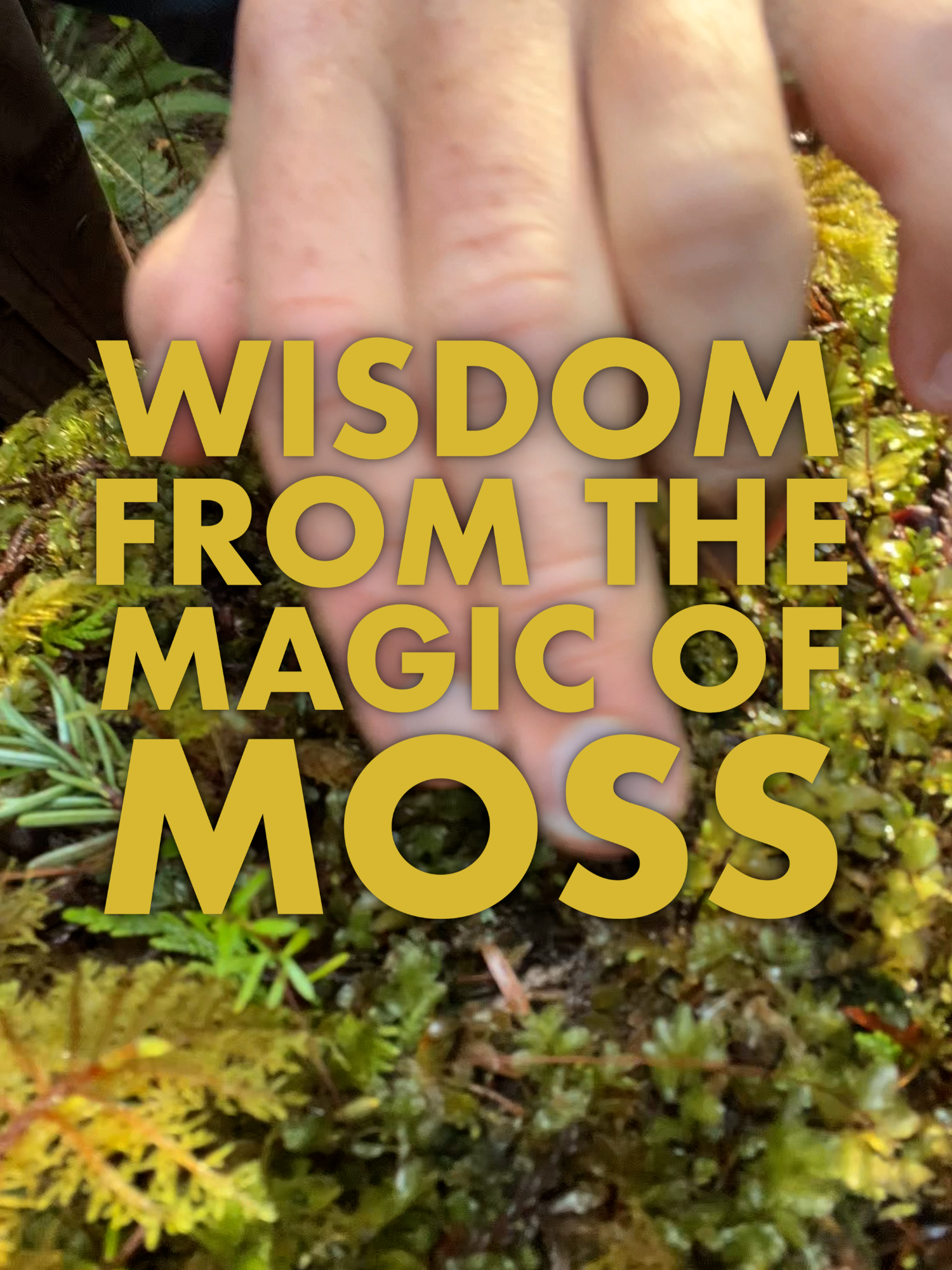 @Nerdy About Nature (Ross Reid)