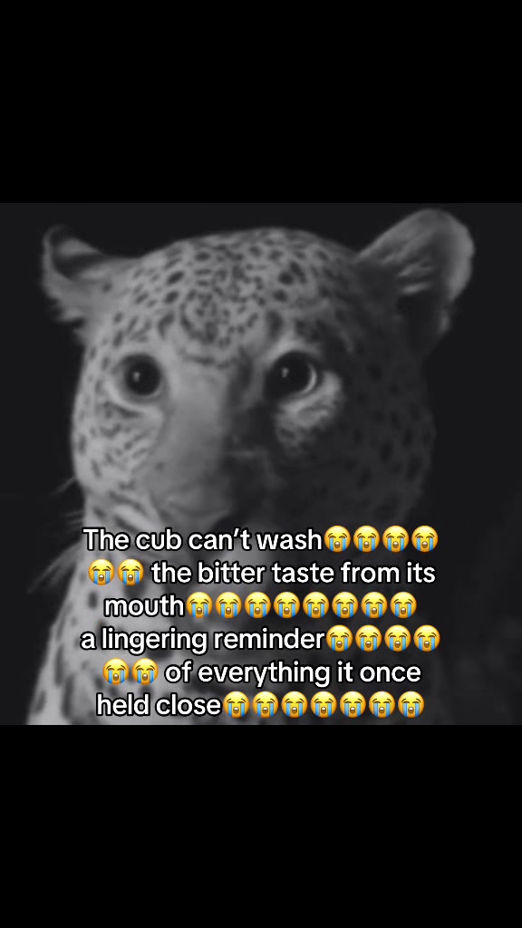 @youngboba7son