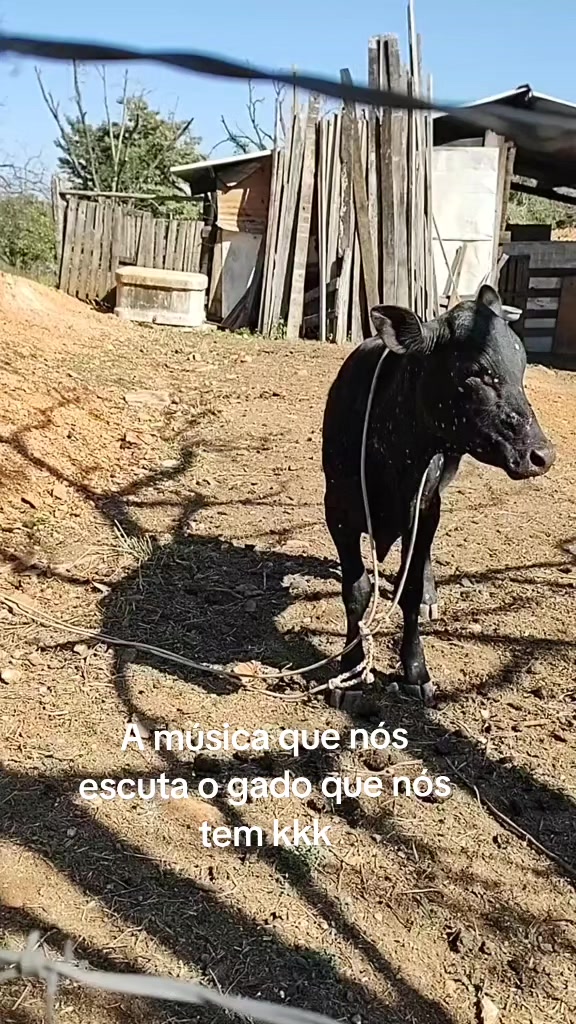 @Luciano Cuani
