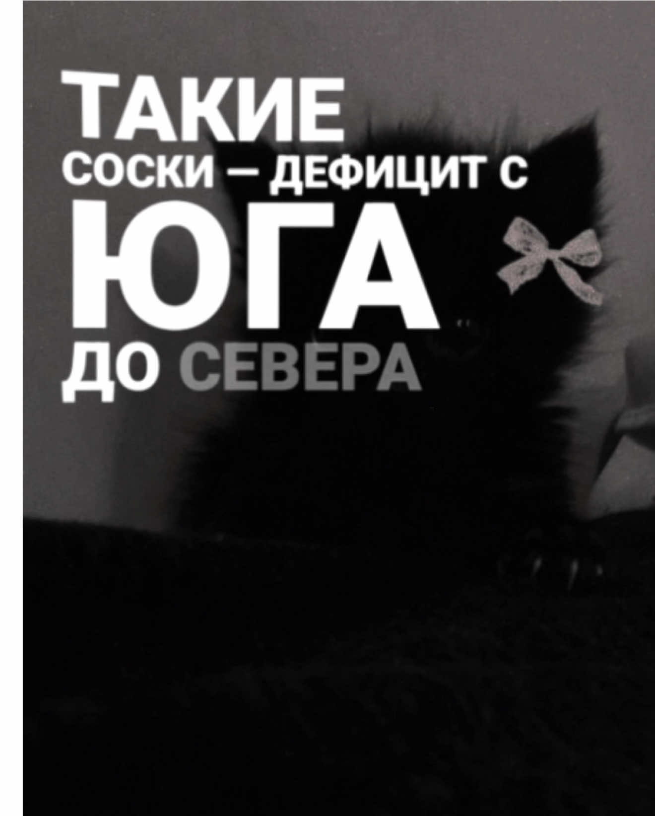 @ШАБЛОНЫ ОТ SPARTIST