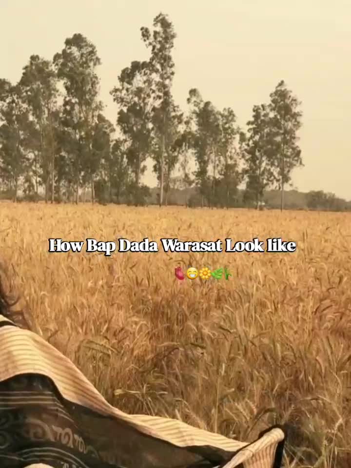 @🦋جانم❤