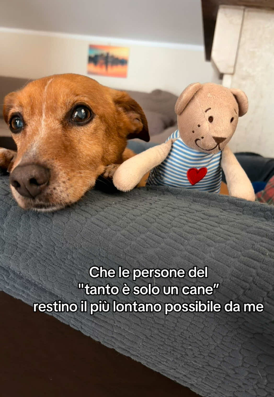 @Giusy✨🌹