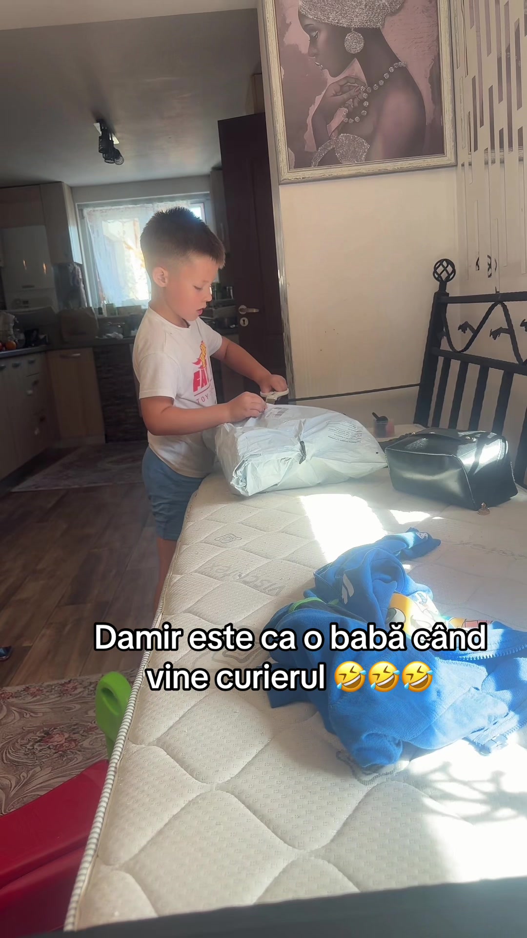 @Diana Ciortan Sphynx Romania