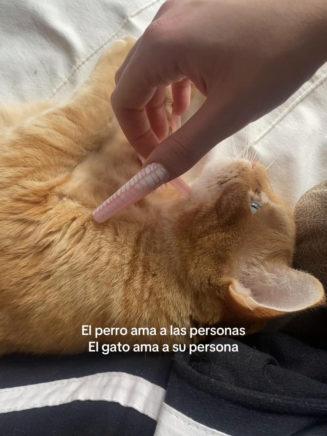 @Nadiaz✨